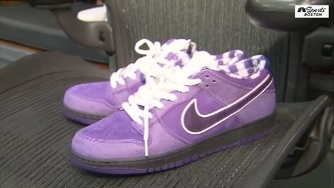 purple nike sb lobster