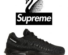 Supreme Collab- Nike Air Max 95