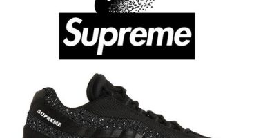 Supreme Collab- Nike Air Max 95