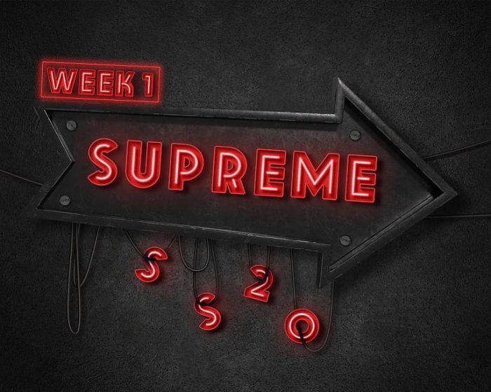 Supreme droplist week 1 tupac shirt