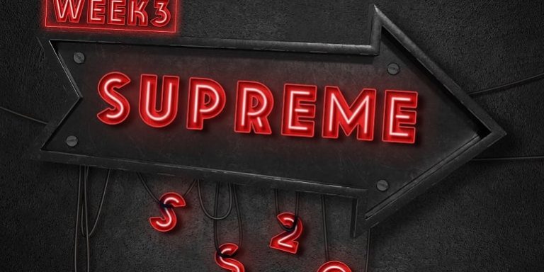 Week 3 Supreme The North Face SS20