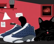 Air Jordan 13 Flint and Cat
