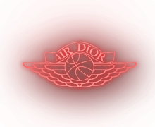 Air Dior