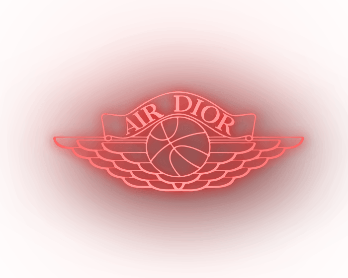 dior air jordan logo