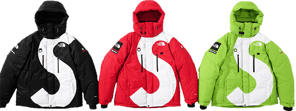 Supreme TNF parka