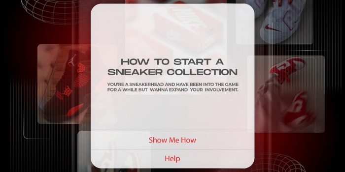 How to start a sneaker collection NSB