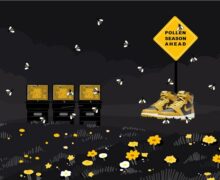 Jordan 1 Pollen 2021