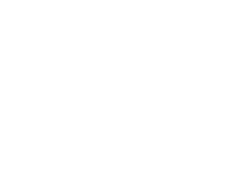 Best streetwear brands - stussy