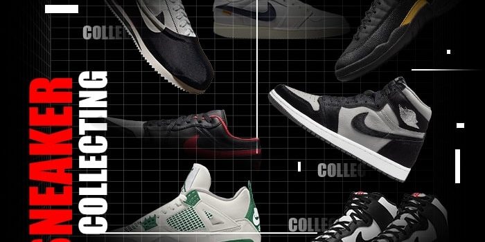 Collecting Sneakers NSB new Collecting Sneakers NSB new