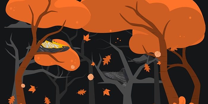 Yeezy September Release Lineup 2021