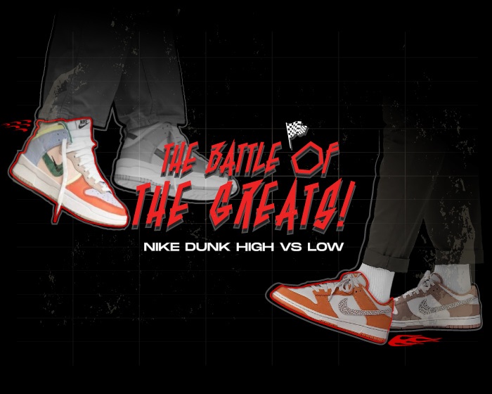 Nike Dunk high vs low NSB new