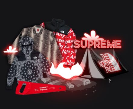 Supreme x TNF FW21 rating