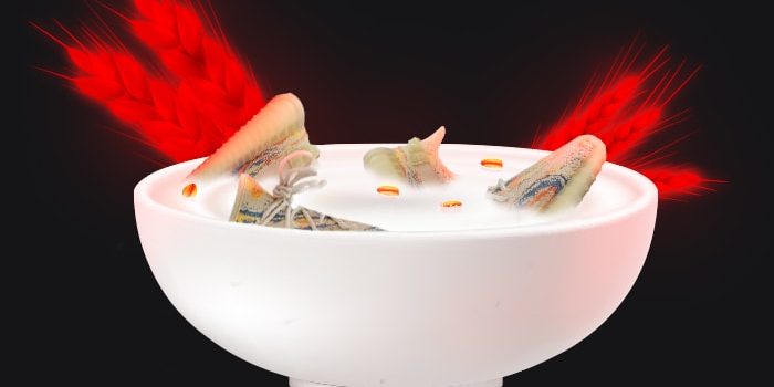 Yeezy MX Oat 350 Yeezy MX Oat 350