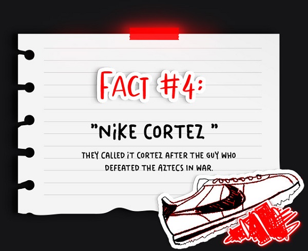 Sneakers 101 Facts Every Sneakerhead Should Know