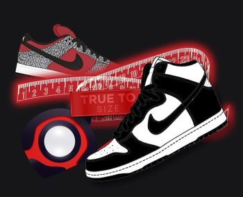 do dunks fit tts