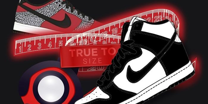 do dunks fit tts