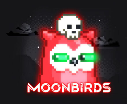 moonbirds nft collection