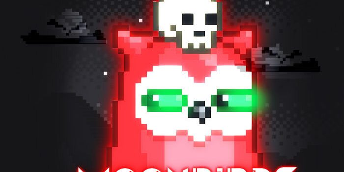 moonbirds nft collection