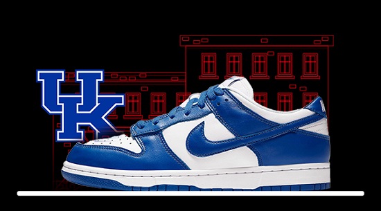 Nike Dunk Low Kentucky NSB