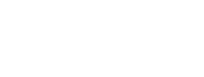 Dot Swoosh Logo NSB
