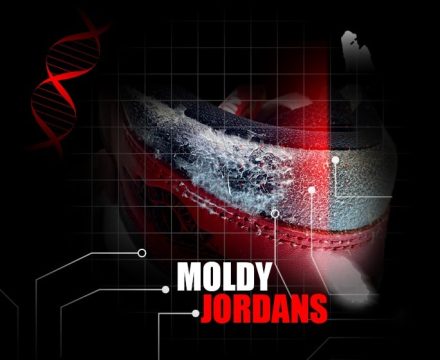 Moldy Jordans Lost and Found