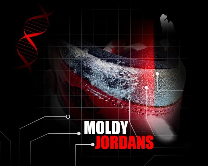 Moldy Jordans Lost and Found