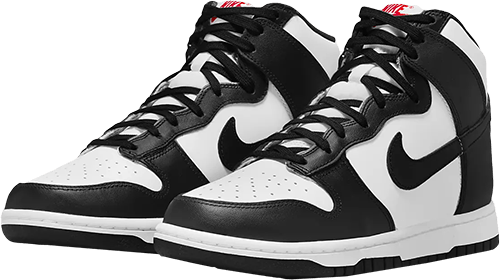 Panda Dunk High NSB