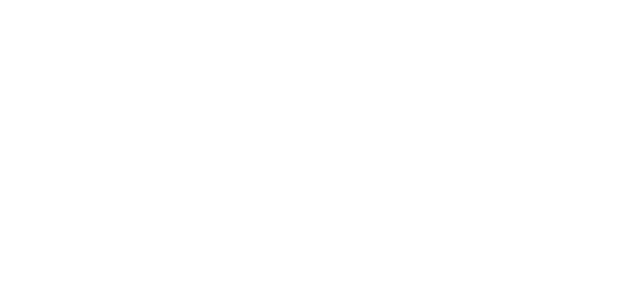 wings for the future logo