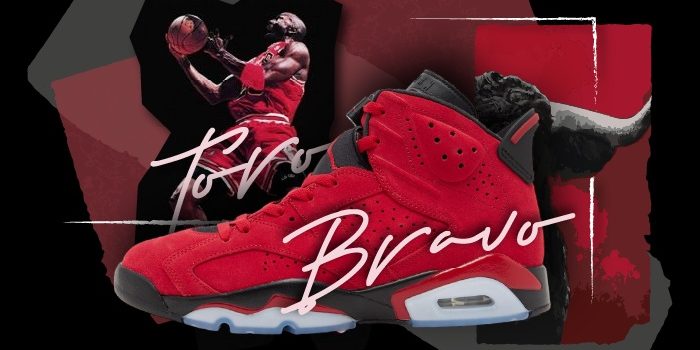 Jordan 6 Toro NSB