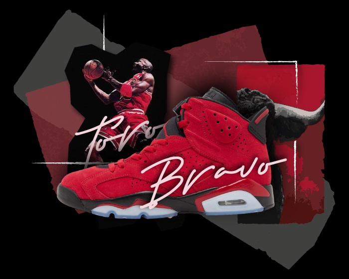 Jordan 6 Toro NSB