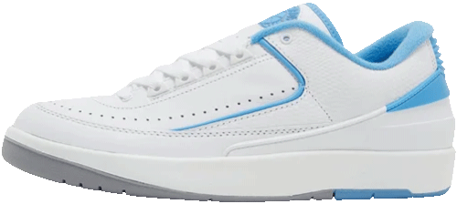 Air Jordan 2 UNC NSB