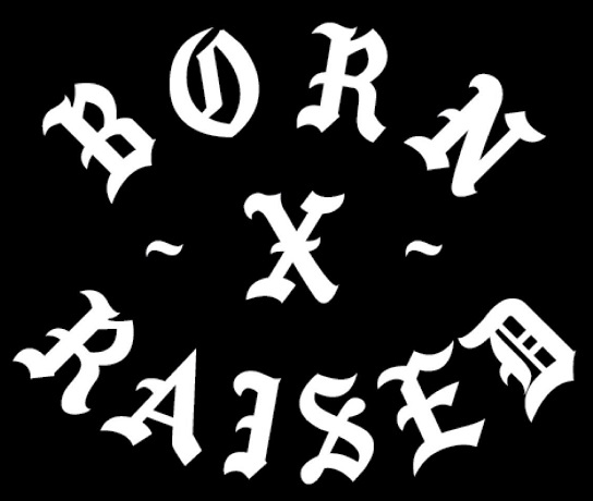 born xraised logo NSB