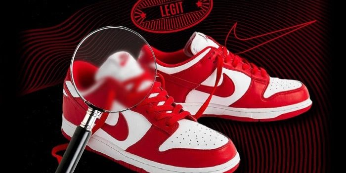 skating fake dunks