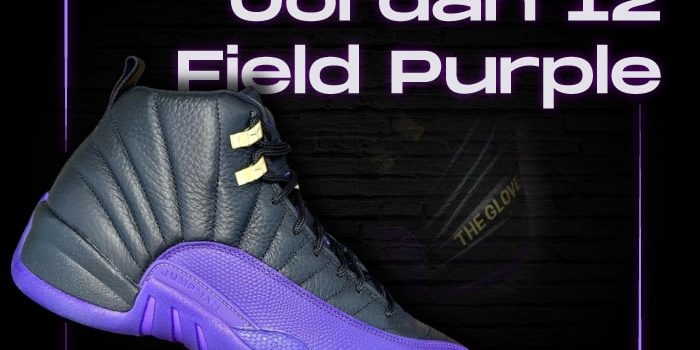 Jordan 12 Field Purple NSB Jordan 12 Field Purple NSB