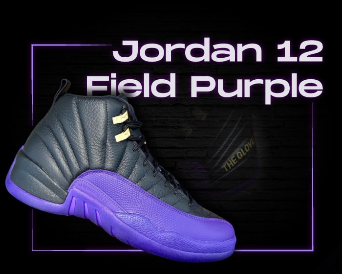 Jordan 12 Field Purple NSB