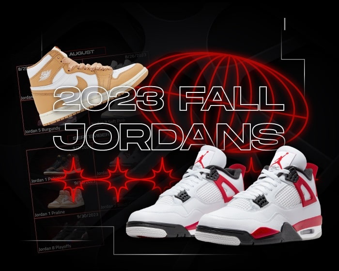 Fall Jordans 2023 NSB