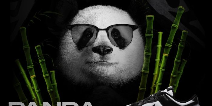 Panda Dunks History NSB