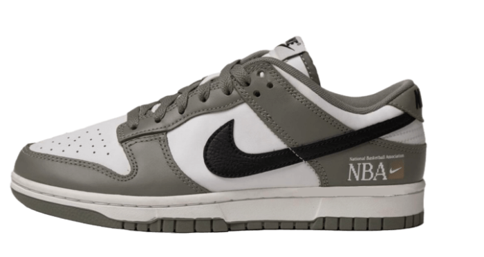 NBA Paris Dunks Nike NSB