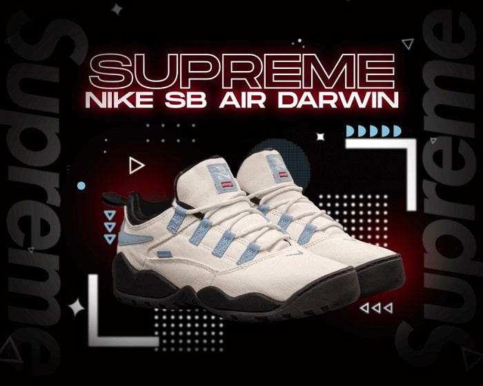 Supreme Nike SB Darwin NSB