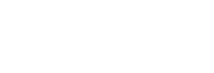 Funko Logo NSB