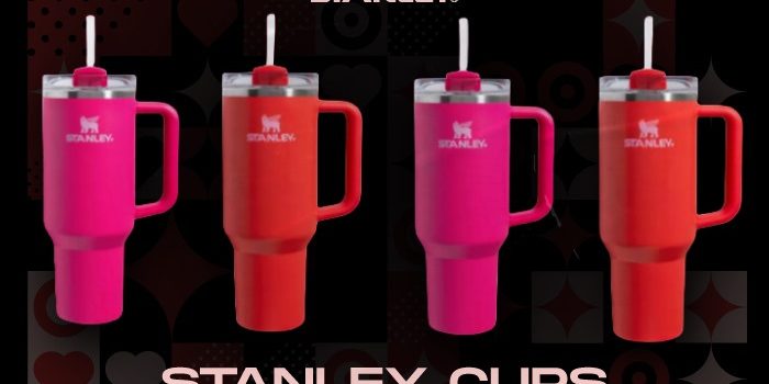 stanley cups valentines starbucks NSB