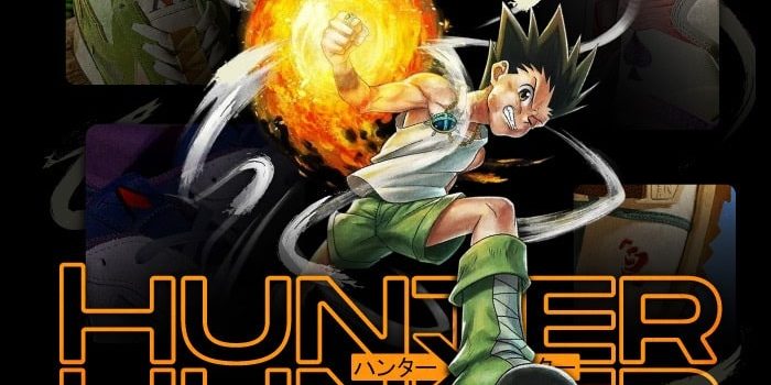 Hunter x hunter Reebok collab NSB