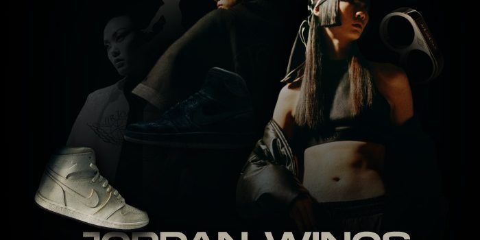 Jordan Wings Collection NSB