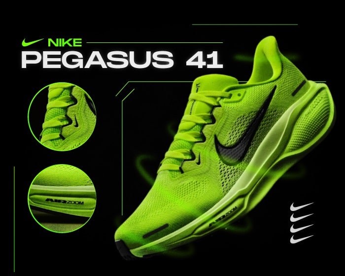 Nike Pegasus 41 NSB
