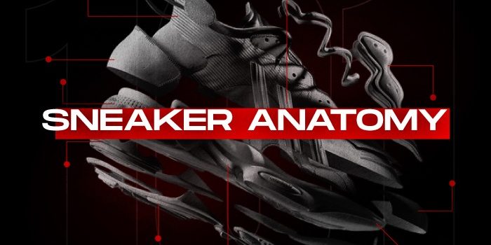 Sneaker anatomy NSB Sneaker anatomy NSB