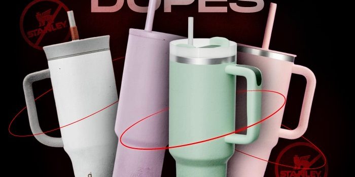 Stanley Cup Dupes NSB