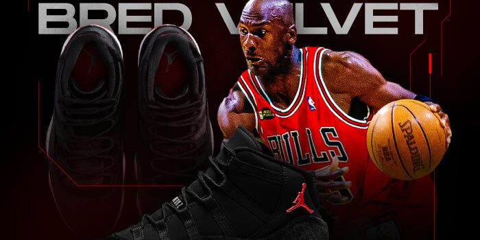 Jordan 11 Bred Velvet NSB Jordan 11 Bred Velvet NSB