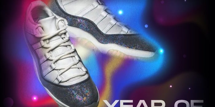 Jordan 11 Year of the Snake NSB