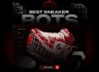 Best sneaker bots 2026 NSB
