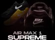 Supreme Air Max 1 NSB